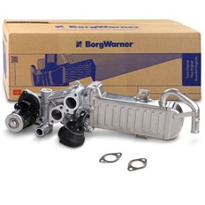 Zawór EGR + Chłodnica spalin Borg Warner (Wahler) 